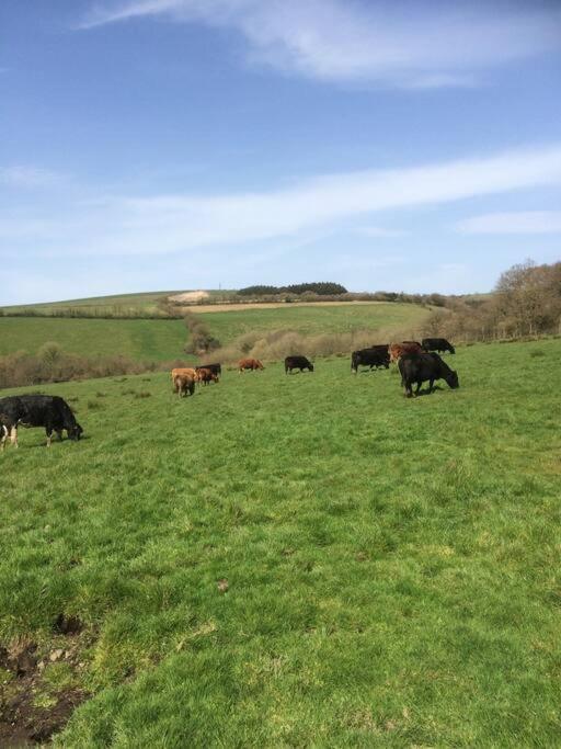 Farmer Bob'S Farmhouse Barnstaple Zewnętrze zdjęcie